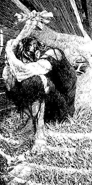 Frankenstein af Wrightson